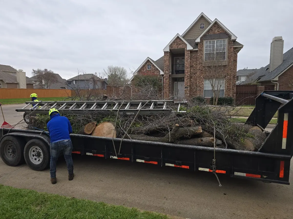 Expert Lot Clearing with proper safety equipment in Rebecca
